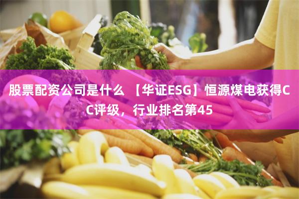 股票配资公司是什么 【华证ESG】恒源煤电获得CC评级，行业排名第45