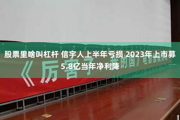 股票里啥叫杠杆 信宇人上半年亏损 2023年上市募5.8亿当年净利降