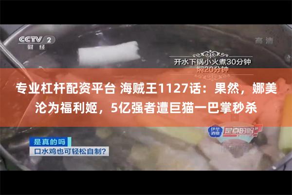 专业杠杆配资平台 海贼王1127话：果然，娜美沦为福利姬，5亿强者遭巨猫一巴掌秒杀