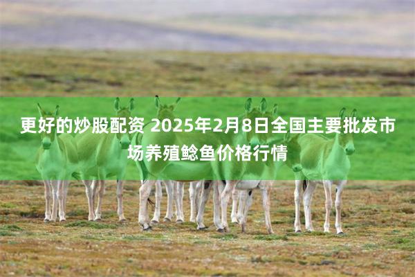 更好的炒股配资 2025年2月8日全国主要批发市场养殖鲶鱼价格行情